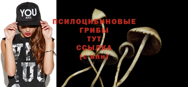 ешки Белокуриха
