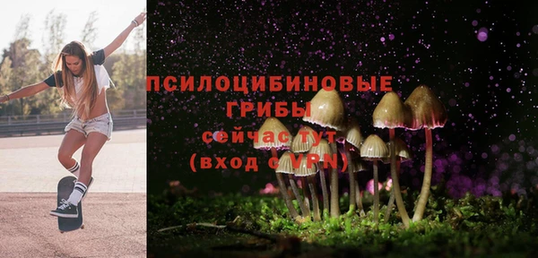 твердый Богородск
