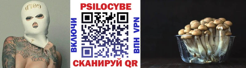 Псилоцибиновые грибы MAGIC MUSHROOMS Конаково